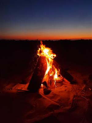 Beach Fire
