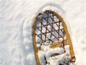 Snow shoes