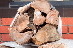 Bundle of Firewood