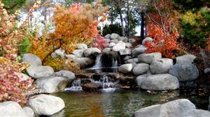park