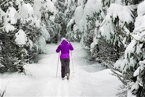 Cross country skiing